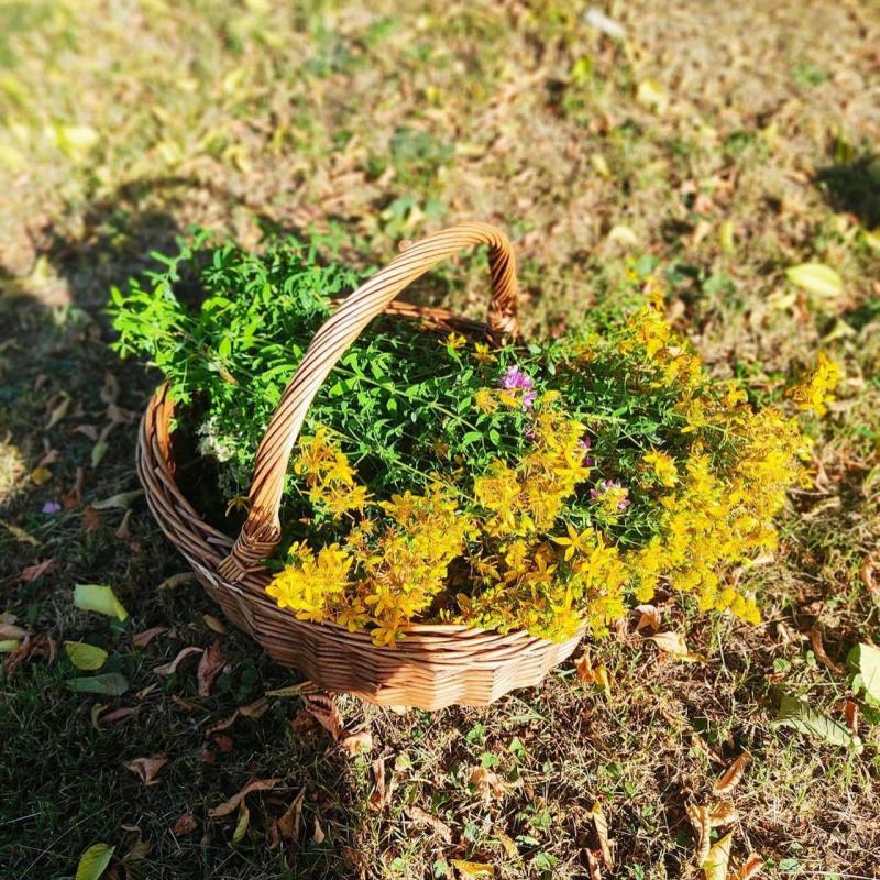 Olio essenziale di lavanda – La Ferraretta Bianca